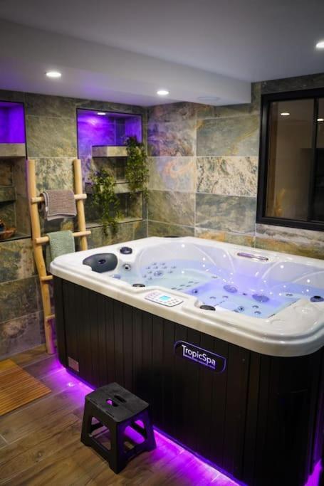 Nuit De La Sagesse "Jacuzzi Terrasse Et Parking Prive" Διαμέρισμα Ρουέν Εξωτερικό φωτογραφία